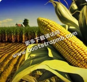 紧随世界杯动态，为您呈现最前沿的赛事信息 - 世界杯入口