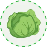 权威解读世界杯夺冠形势 - 世界杯入口